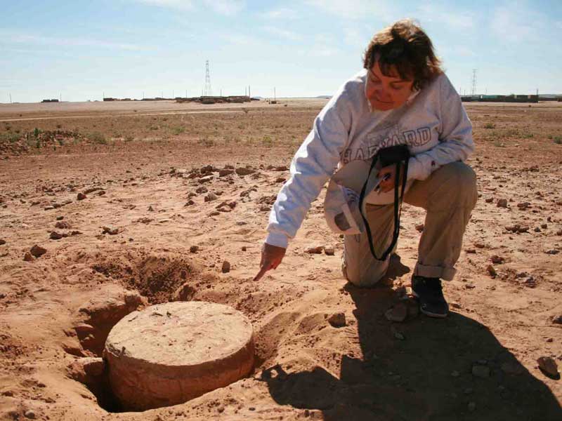 Российско-итальянская археологическая экспедиция в Абу Эртейле (остров Мероэ, Республика Судан), полевой сезон 2010 г.
