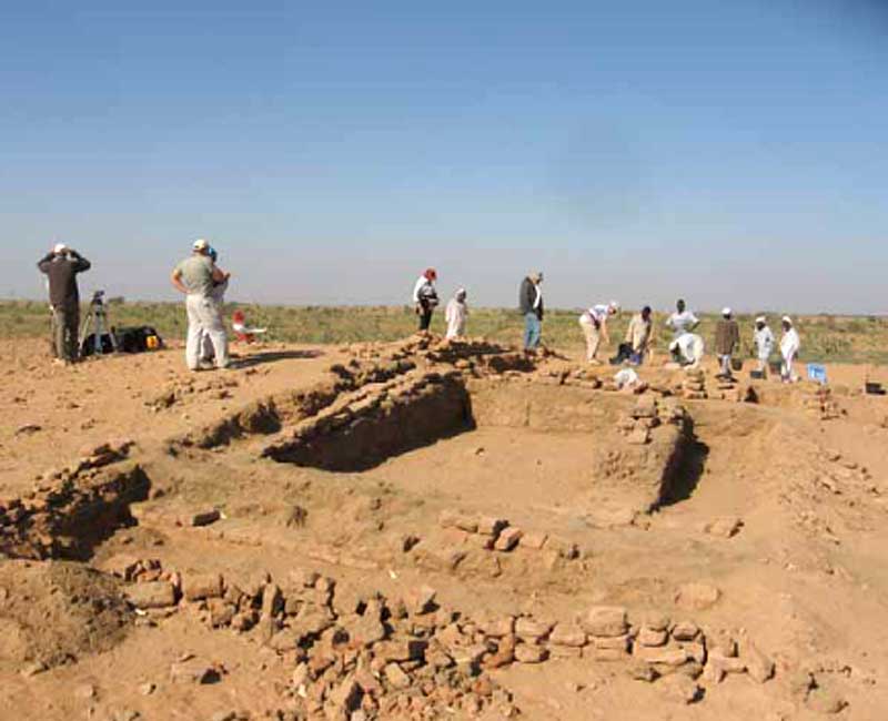 Российско-итальянская археологическая экспедиция в Абу Эртейла, полевой сезон 2011г.
