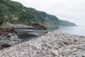 На этой фотографии очень хорошо видно то, что острова Курильской гряды вулканического происхождения. Вот такие "рисунки" из вулканических образований можно найти на берегу.