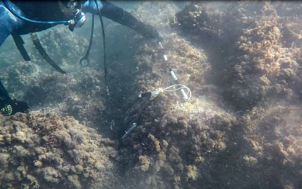 Обследование колонн под водой. Глубина-2,5 м