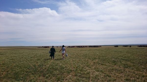 Монгольские степи