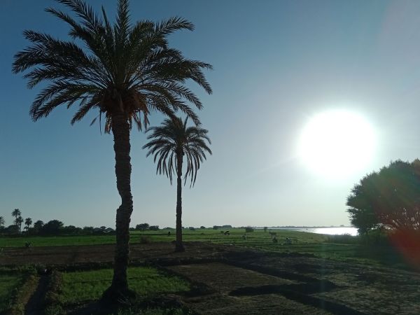 Долина Голубого Нила. Судан.