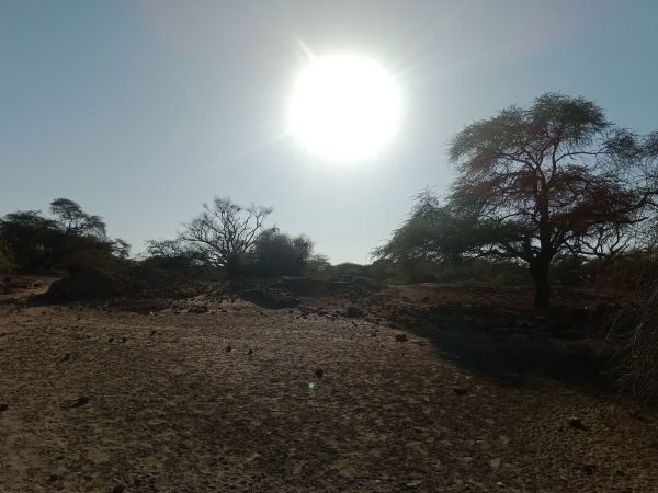 Солнце Африки. Судан.